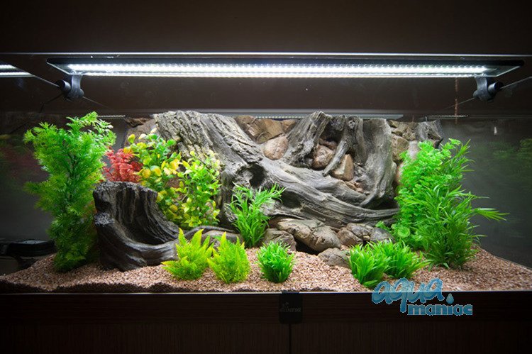3D Aquarium Background Amazon design for tropical fish tanks