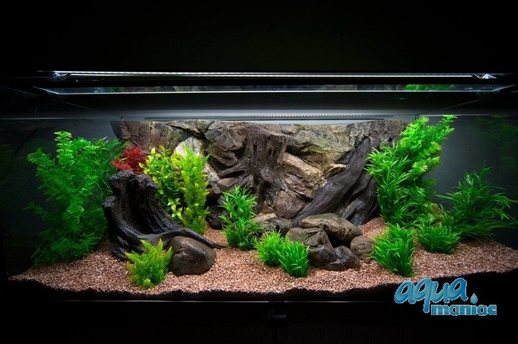 3D Background Root 106x56cm to fit Aqua Oak 120 Aquarium