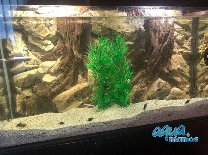 3D Background Root 97x45cm to fit Aqua Oak 110 Aquarium