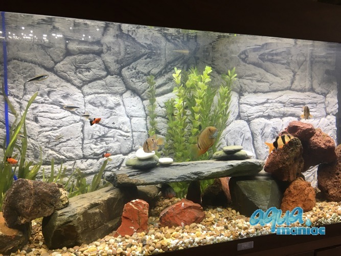 3D Background Thin Grey Rock 97x45cm to fit Aqua Oak 110 Aquarium