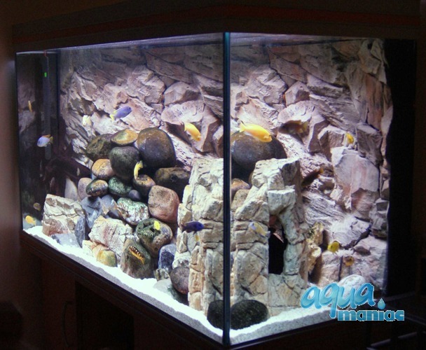 3D Beige Rock background 148x56cm in 2 sections