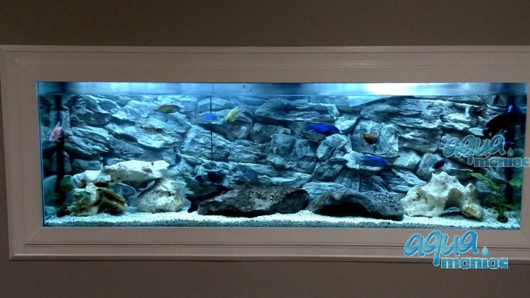 3D Aquarium Background for 7 foot tank - gret rock design for tropical fish  large fish tanks