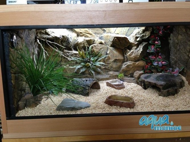 3D Rock Background 57x56cm  to fit 2 foot by 2 foot tanks