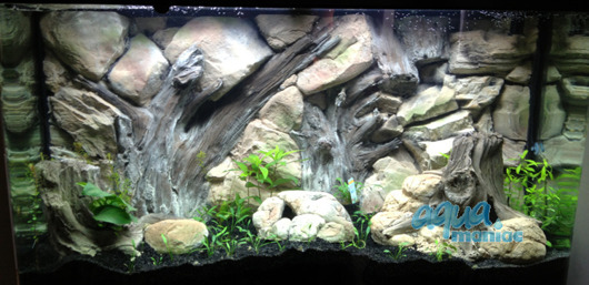 3D root background 146x54cm