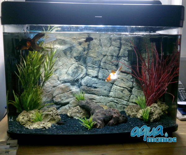 Fluval Roma 125 thin rock background 77x42cm 1 section