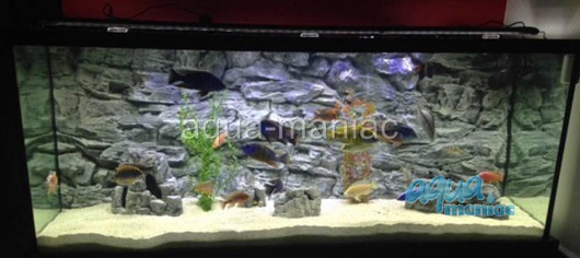 JUWEL RIO 450 3D grey rock background 148x56cm in 3 sections