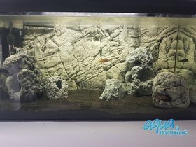 3D Foam Rock Background Module size 50x65cm 