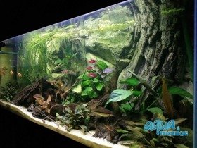 3D Root Background 178x58cm in 3 section to fit 6 foot by 2 foot tanks
