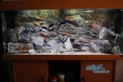 3D beige rock background 117x45cm