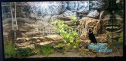Bundle of long and large grey aquarium rocks 