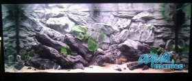 Fluval Roma 125 grey rock background 77x42cm 1 section