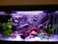 Fluval Roma 200 3D Root Background 97x45cm in 2 sections