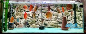 Fluval Roma 240 rock 3D Background 117x45cm 2 sections