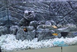 JUWEL Vision 260 3D thin grey rock background 117x54cm in 2 sections